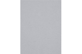 Плэйн black-out 1852 серый (цен.кат. 1)