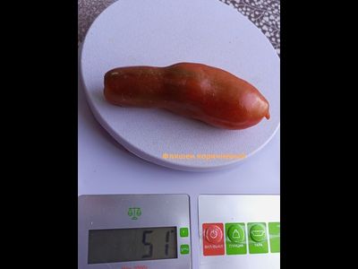 Томат Фляшентомат коричневый (Flaschentomaten brown)