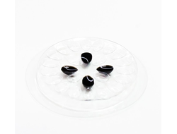 Лунка для клея ( с прозрачным основанием)