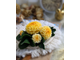 Веточка хризантемы с бутоном