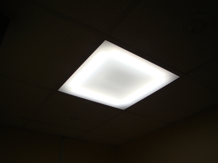 kompaniya ooo trejd spb fotogalereya