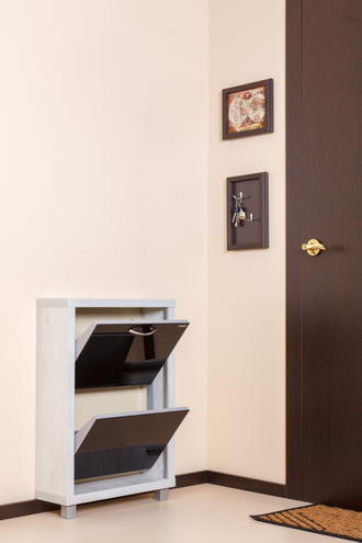 Обувница Айрон-2 (фасад стекло черное)