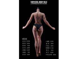 ПРЕДЗАКАЗ - Мускулистое бесшовное женское тело - Коллекционная фигурка 1/6 Silicone Female Body Bodybuilding Muscular Physique Natural Skin Tone (VCD-05B) - VERYCOOL  ?ЦЕНА: 9900 РУБ.?