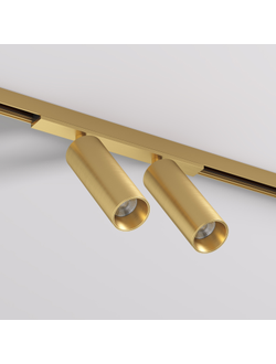 Светильник для трека SHINE SPOT DK5742-SB