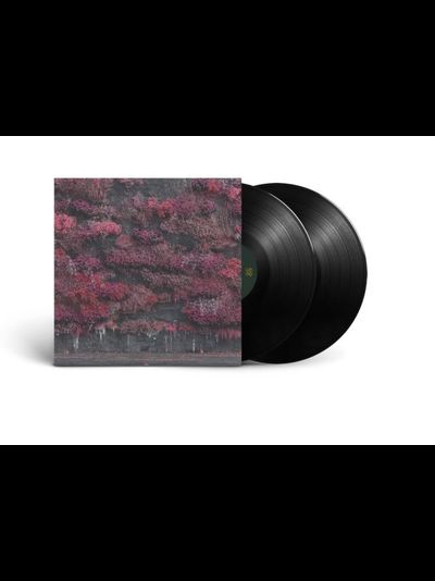 Sleep Token - Even In Arcadia 2-LP