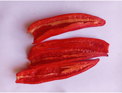 Перец острый Инферно (Inferno)