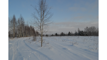 Часовой подрос