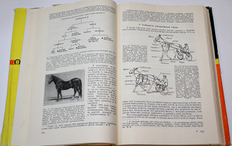 Руководство по разведению животных. Том 3. Книга 1 и 2. М.: Колос. 1965.