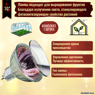 Paulmann Rose FLOOD 20w 12v 30° GU4