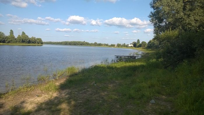 Дом В Д Троица Купить