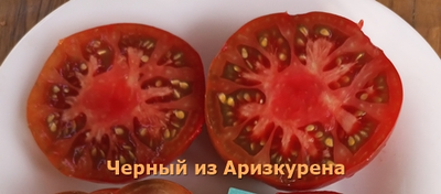 Томат Черный из Аризкурена (Negro de Aritzkuren)
