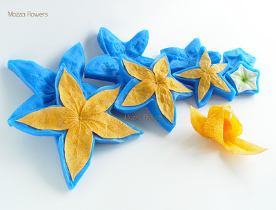 "Физалис " силиконовые молды (вайнеры)