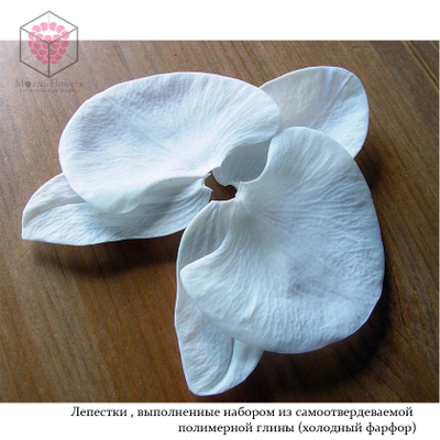 Набор вайнеров и каттеров "Орхидея фаленопсис размер XL "