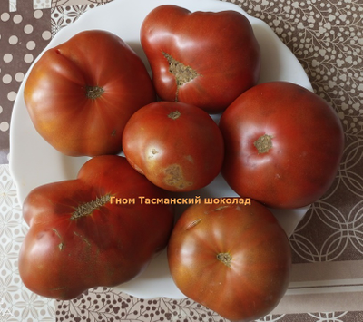 Томат Гном Тасманский шоколад (Dwarf Tasmanian Chocolate)