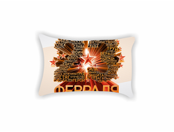 Подушка на 23 февраля №2