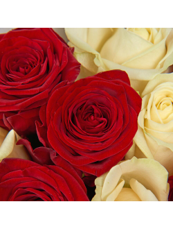 Микс из 25 роз