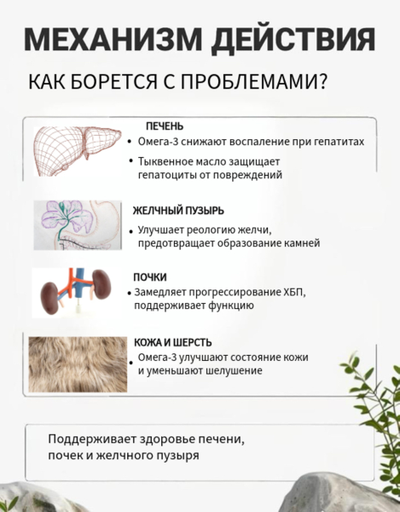 Кормовая добавка для собак с лососевым жиром и льняным маслом DOBROPET-31, 60 капсул
