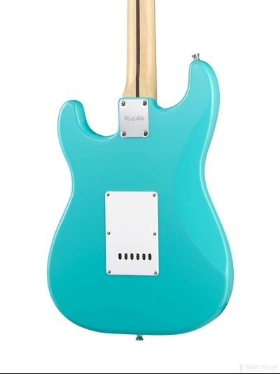 Root Note ST201-TTE