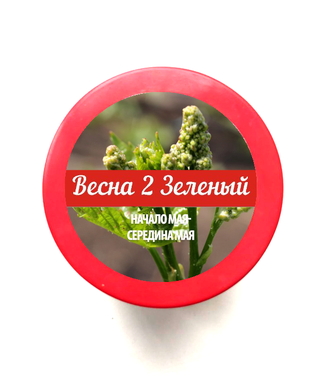 Весна 2