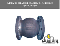Клапаны обратные стальные фланцевые Ду50,80,100 Ру40