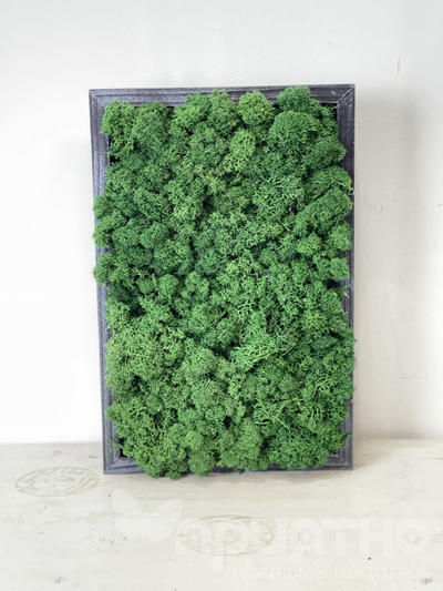 ЖИВАЯ ЭКО-КАРТИНА 1055