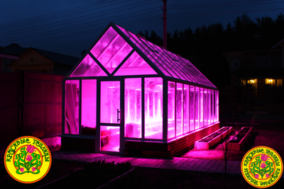 Теплица люкс  ЛИВЕРПУЛЬ с фитолампами Apollo