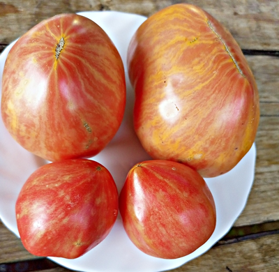 Томат Розовое сердце Пессака полосатое (Coeur Rose de Pessac Stripe )