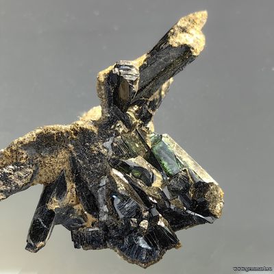 Вивианит, сидерит. Светлинское (Au) месторождение. Россия. 55*23*30мм