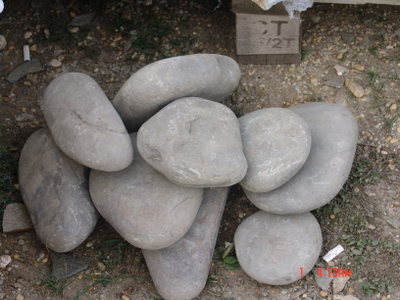 Голыш речной (Дагестан)