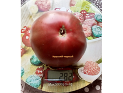 Томат Курский черный