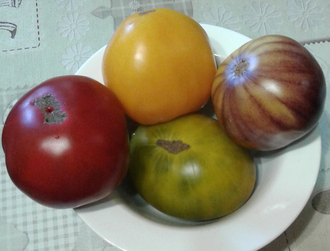 Малиновый - это сорт Моруно де Мадрид, желтый- Король Сибири, зеленый- Золото Чероки грин