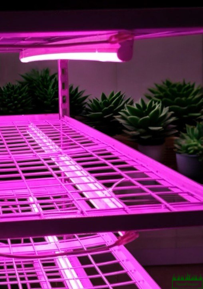 Стационарная камера Терра-Макси (12х2,16х2,06 м.п.) 16 стеллажей