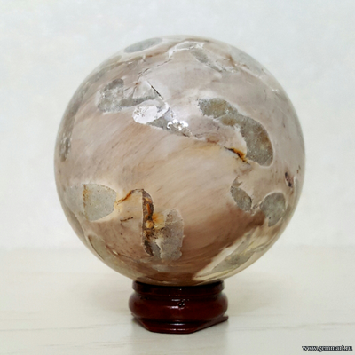 Окаменелое дерево со следами древоточца, шар. Россия. Около 69мм.