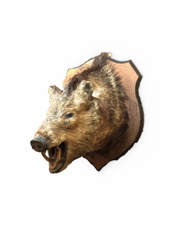 декор Голова кабана
