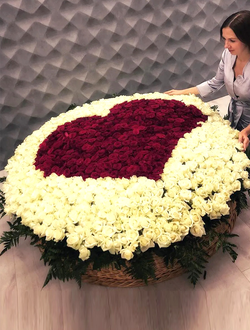 1001 роза в корзине (цвет на выбор)