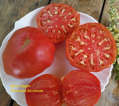 Томат Rose Hippo (Розовый бегемот)