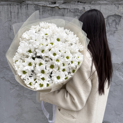 Ромашки для любимых