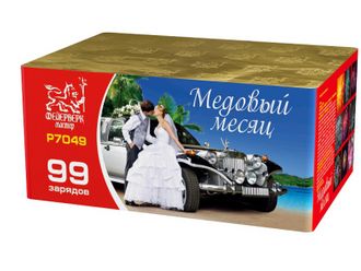 P7049 Медовый месяц