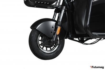 Пассажирский трицикл WHITE SIBERIA SIBTRIKE R 2000W