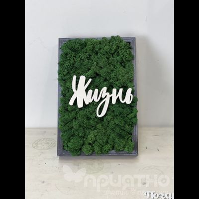 ЖИВАЯ ЭКО-КАРТИНА 1054