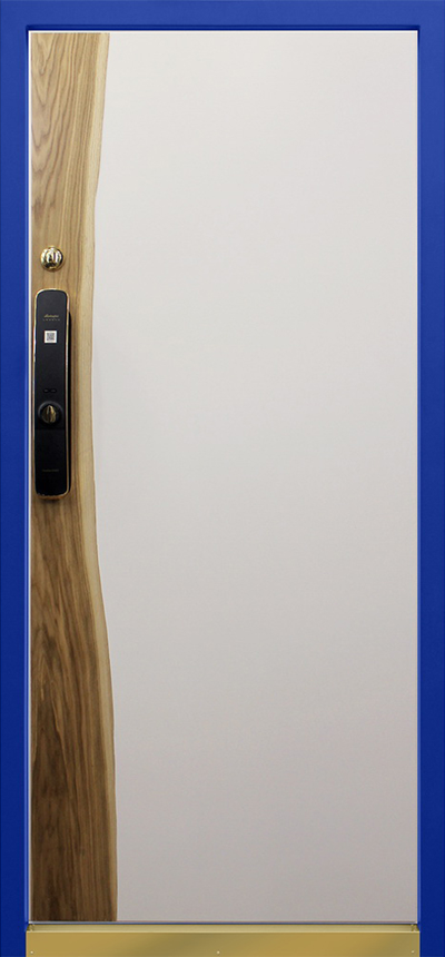 Стальная дверь   Lamborghini. Заказная модель.