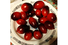 Гном Шеф-повар Поль Бокюз