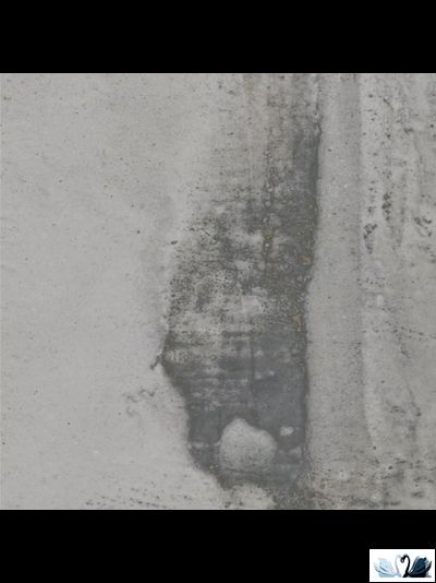 Керамогранит Simpolo Scs Arti Dove 19,8х19,8 см с орнаментом