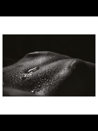 LIQUEUR CHARNELLE PIERRE GUILLAUME