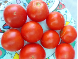 Томат Аленка