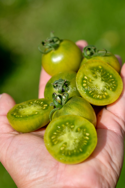 Томат Гном Beautiful Ones (Красотки), 10 шт