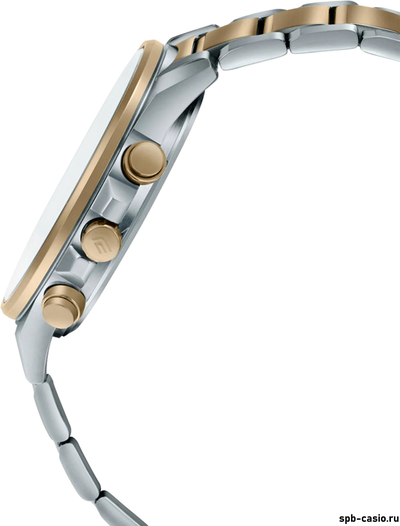 Часы Casio Edifice EFS-S590SG-1A