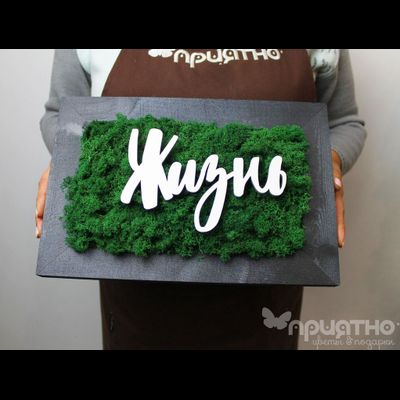 ЖИВАЯ ЭКО-КАРТИНА 1049