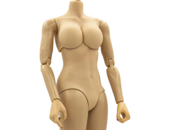 Тело с ботинками и двумя наборами кистей 1/6 (DCG004) - DAMTOYS