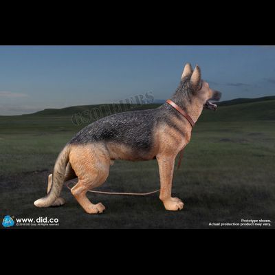 Немецкая овчарка (Служебная собака) - Коллекционная ФИГУРКА 1/6 scale German Shepherd (AS003) - DID